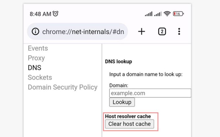 Chrome://net-internals/#dns