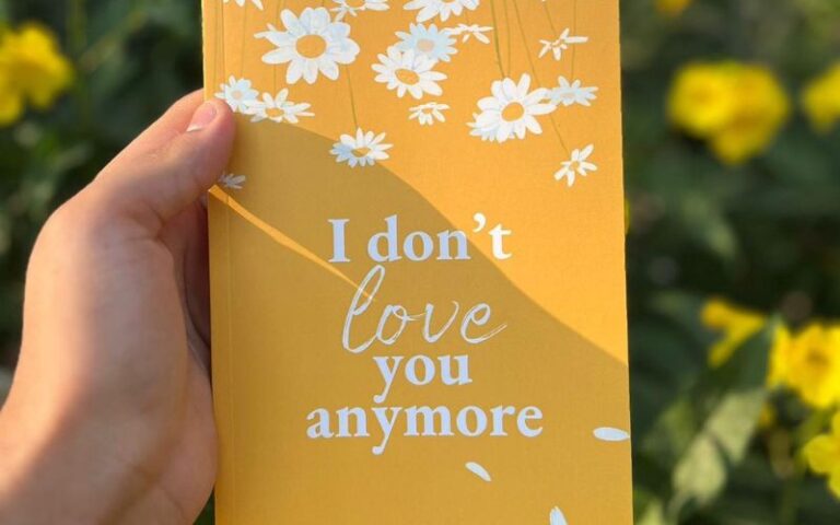 I Don’t Love You Anymore Book PDF